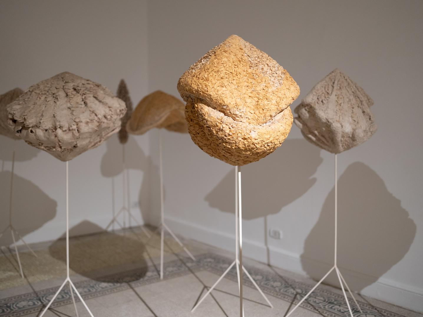 six sculptures resembling enlarged seashells or other natural sedimented forms on stands. The statues are shown in a gallery room that has white walls and patterned tiles on the floor