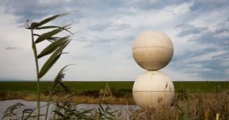 sculpture, sky, plant