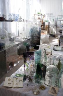 Artist studio of Janet Laurence, photo: Janet Laurence