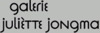 Header image for Juliette Jongma Gallery