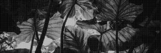 Header image for Asia Maior/Atlas Maior