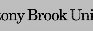 Header image for State University of New York at Stony Brook