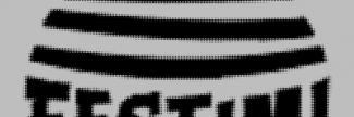 Header image for Festimi