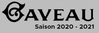 Header image for Salle Gaveau