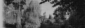 Header image for Mien Wijnakker