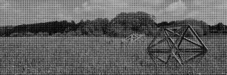 Header image for Suzanne Groothuis