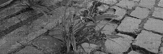 Header image for Frank Brugggeman