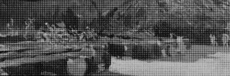 Header image for Ramón van der Ven
