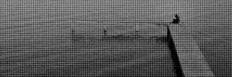 Header image for Bob Soetekouw
