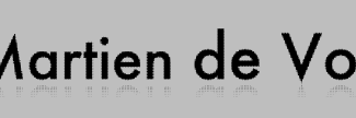 Header image for Martien de Vos