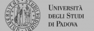 Header image for University of Padua