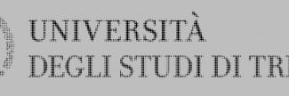 Header image for University of Trieste