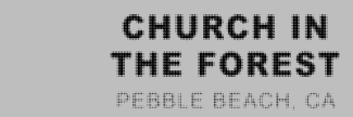 Header image for Church in the Forest