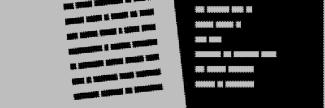 Header image for Casa de Editura Max Blecher