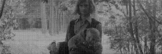 Header image for Maaike Cafmeyer
