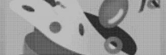 Header image for The Open Window