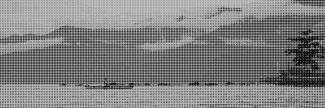 Header image for KadeKoorts