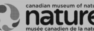 Header image for Canadian Museum of Nature