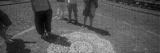 Header image for Arts Unfold