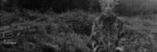 Header image for Alles voor de Kunsten