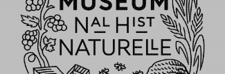 Header image for National Museum of Natural History