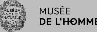 Header image for Musée de l'Homme