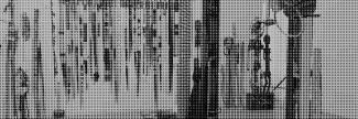 Header image for Wim Vonk