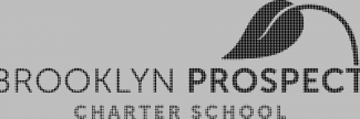 Header image for Brooklyn Prospect Charter School