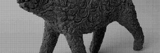 Header image for Chris Koens