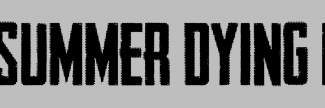 Header image for Summer Dying Loud Festival