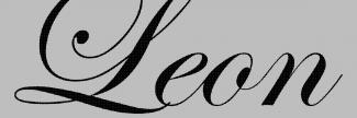 Header image for Leon Gallery