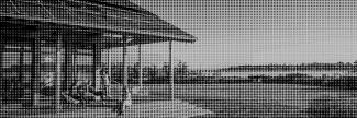 Header image for Washington College