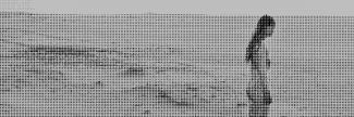 Header image for Lavalu