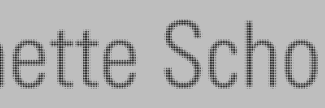 Header image for Annette Scholten