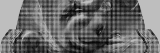 Header image for Viola Renate