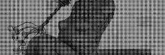Header image for Yvonne Zeldenthuis