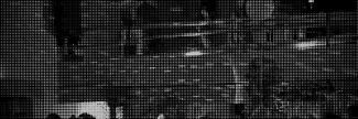 Header image for Schwarzer Hasen