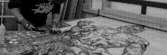 Header image for Honmachi Kaikan