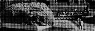 Header image for Glenn Thomas