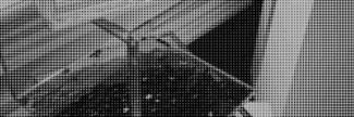 Header image for Ailsa