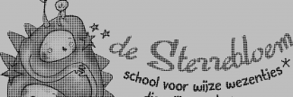 Header image for De Sterrebloem