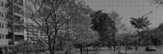Header image for Galeria Fayga Ostrower