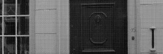 Header image for Ruud van der Neut