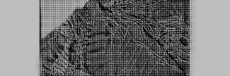 Header image for Michele Boulogne