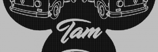 Header image for Tam Tam Music Festival
