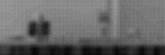 Header image for Stichting Het Wilde Oog