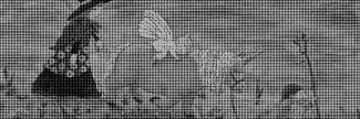Header image for Mirjam van Houten