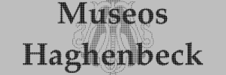 Header image for Museos de la Fundación Haghenbeck