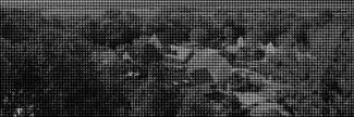 Header image for Csello