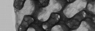 Header image for Elisava